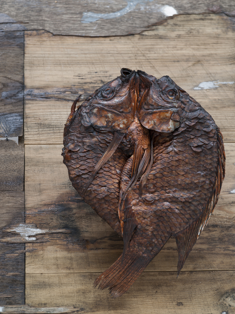 oppdrettsfisk tørket røkt tilakia