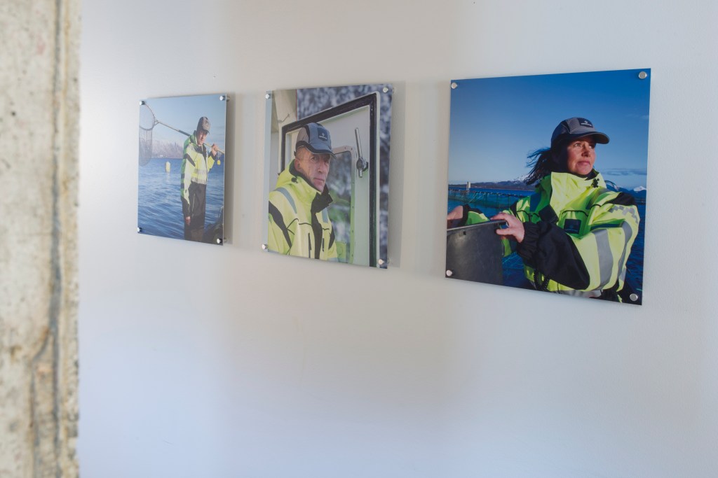 5 foto thor brødreskift