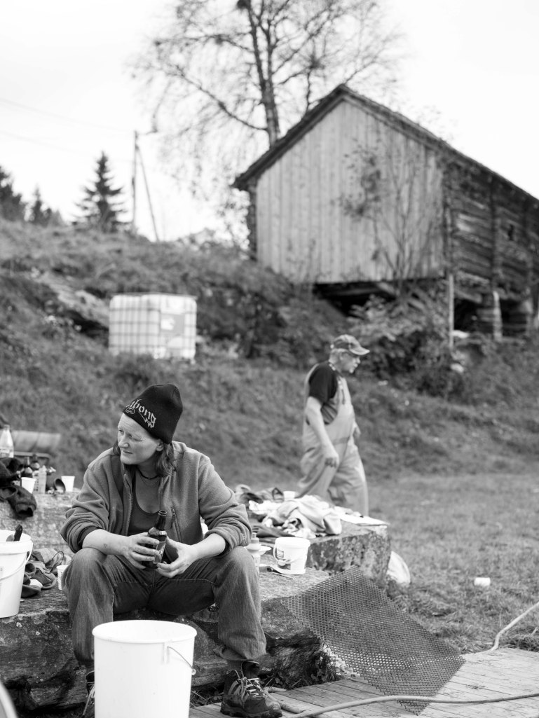 foto thor brødreskift grisegutane_8