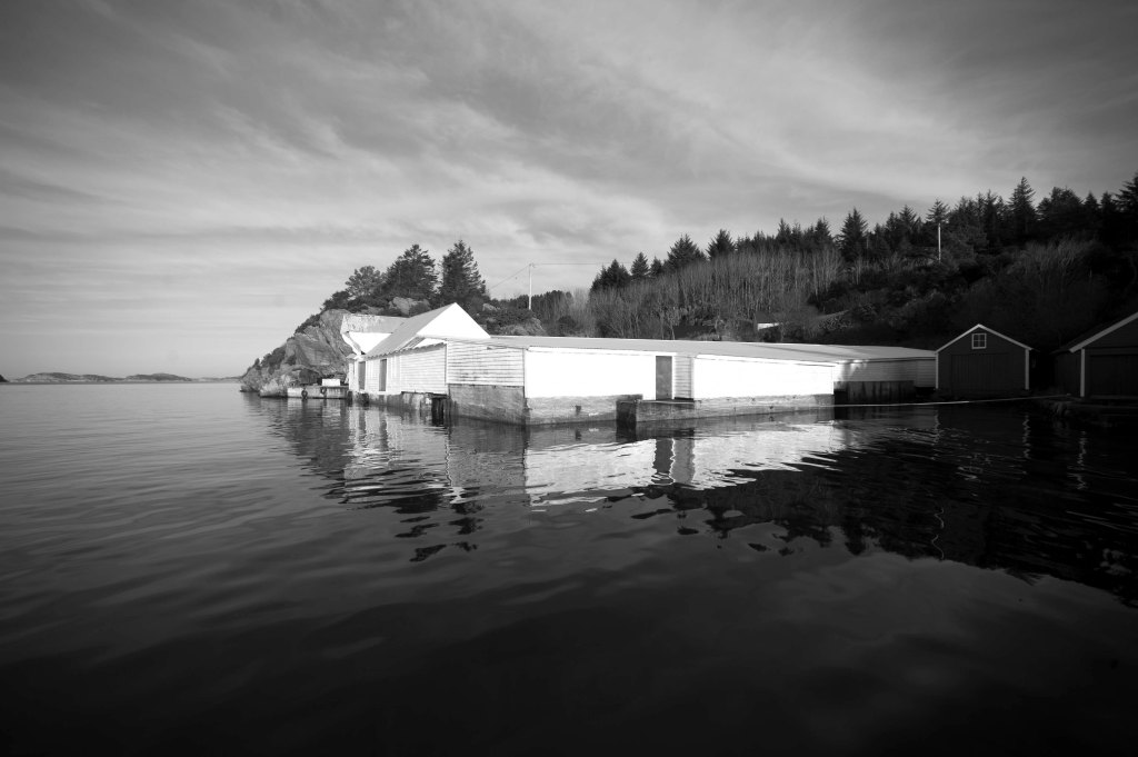 foto thor brødreskift