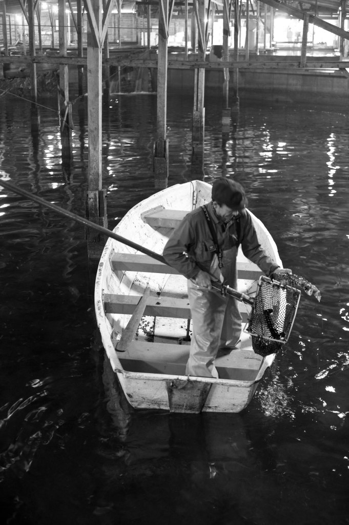 foto thor brødreskift_1