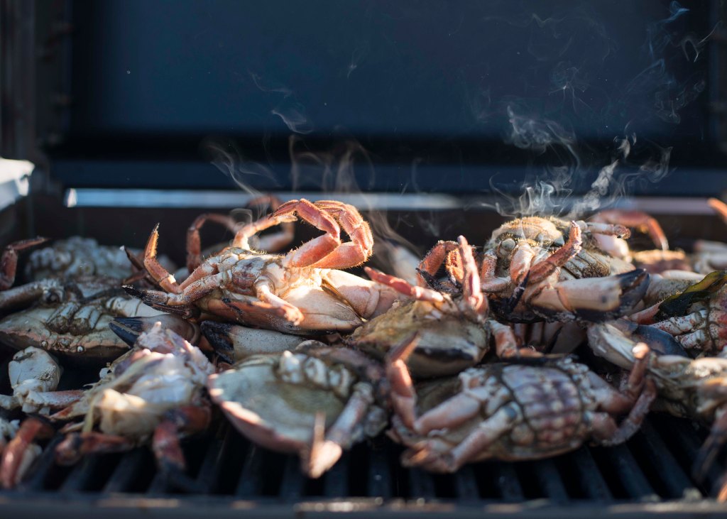 foto thor brødreskift_10