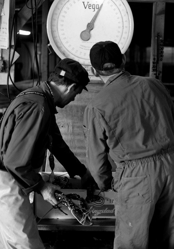 foto thor brødreskift_6