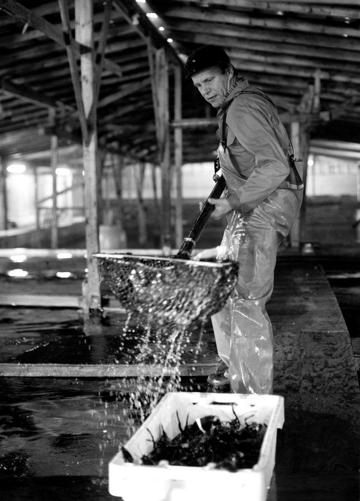 foto thor brødreskift_7