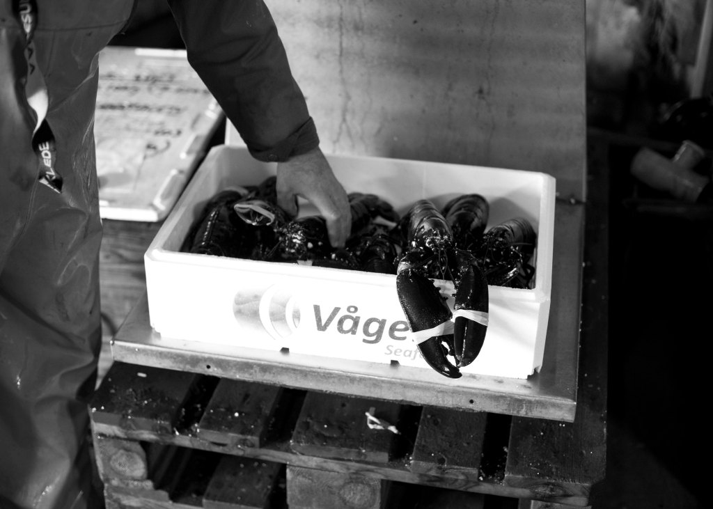 foto thor brødreskift_8