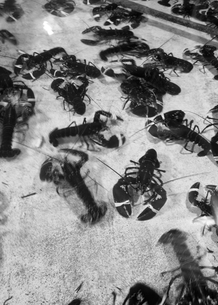 foto thor brødreskift_9