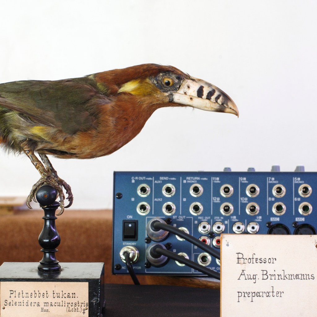 foto thor brødreskift