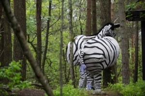 20 familiedagfoto thor brødreskift_6