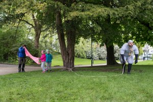 69 sauene foto thor brødreskift.11