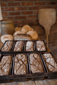 bakstehuset på ask foto thor brødreskift