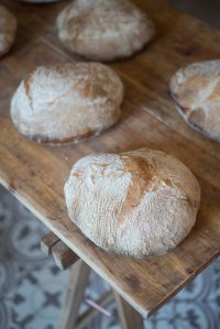 bakstehuset på ask foto thor brødreskift_8