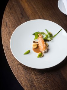 Lysverket foto thor brødreskift_1