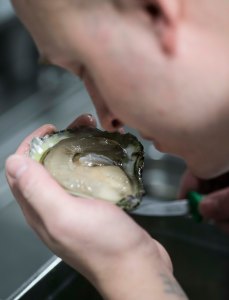 Lysverket foto thor brødreskift_20