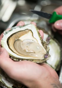 Lysverket foto thor brødreskift_21