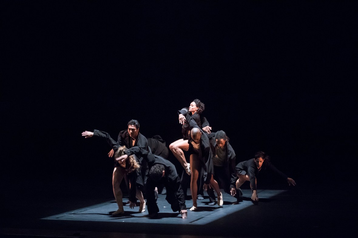 acosta danza foto thor brodreskift_1