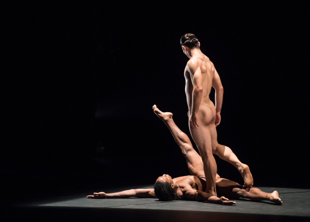 acosta danza foto thor brodreskift_8