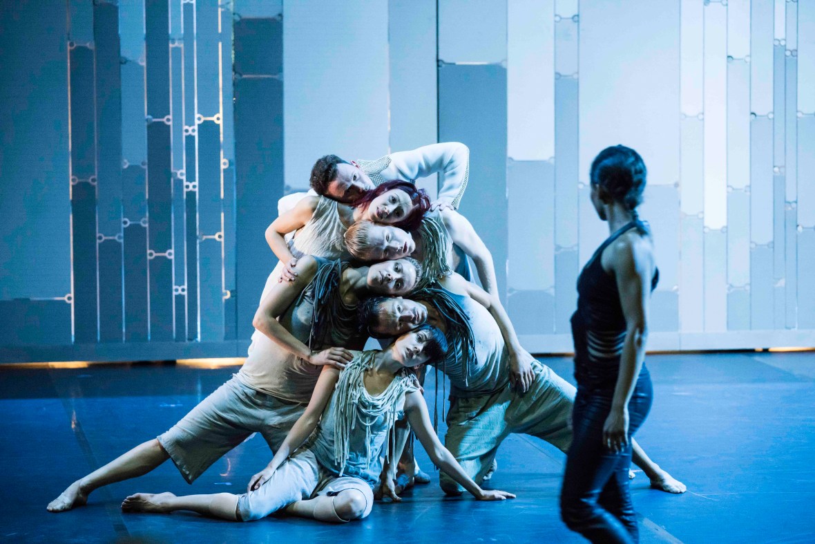 ildfuglen foto thor brodreskift_9